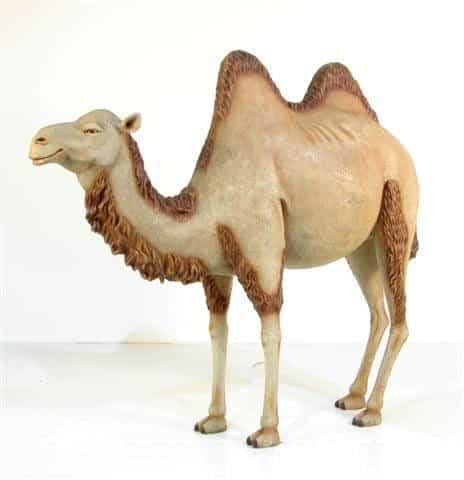 Life-size Camel Prop