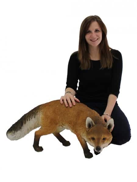 Prowling Life-size Fox