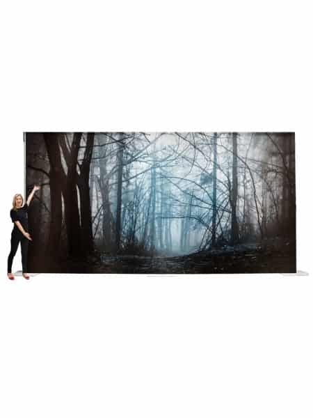 Dark Forest Backdrop (6m x 3m)