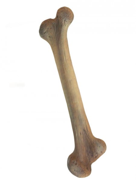 Large Bone