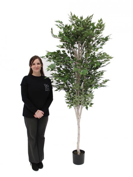 artificial potted birch trees