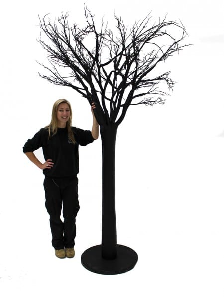 Tall Black Tree