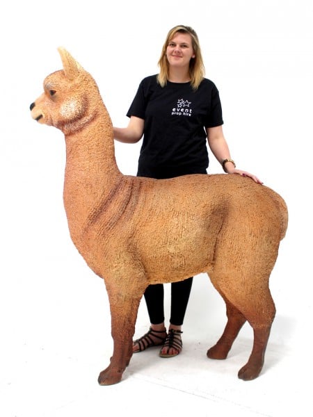 Life-size Alpaca