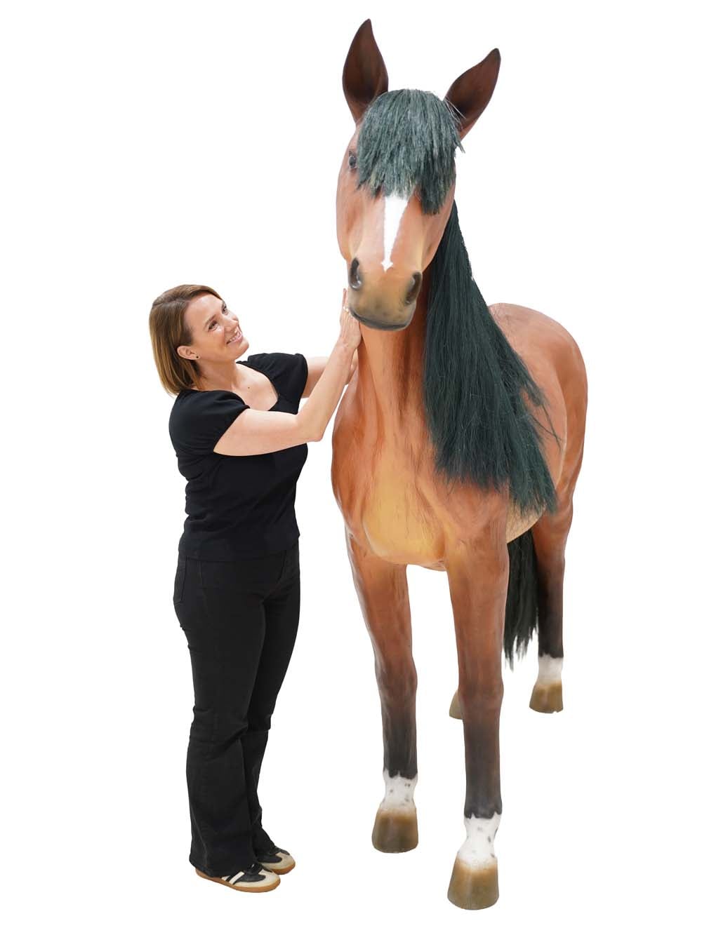 AML20_Horse - Brown - 2 (10) copy _optimised
