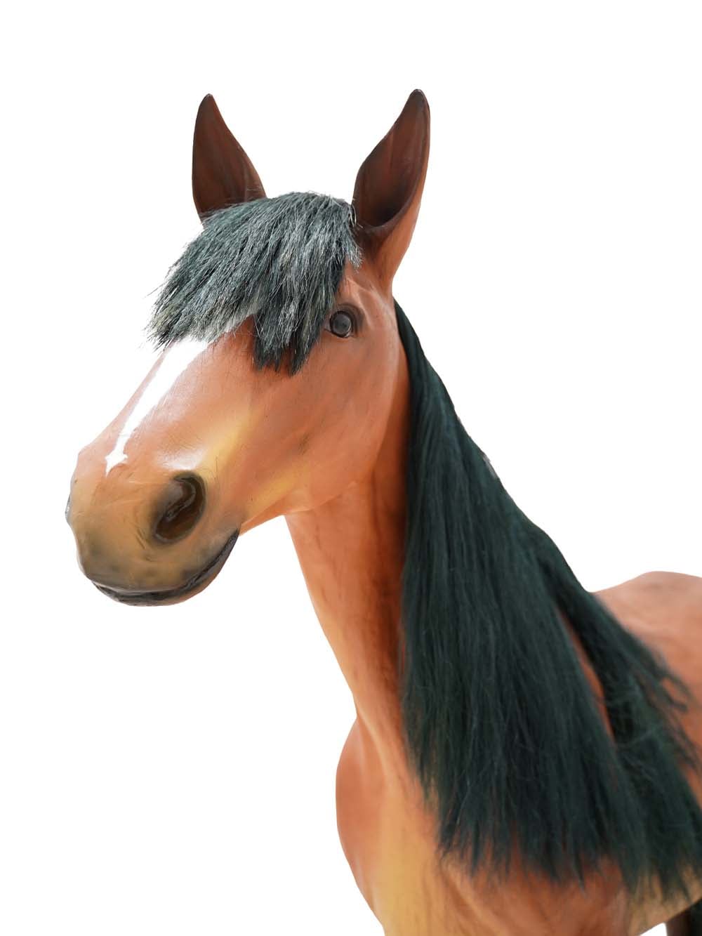 AML20_Horse - Brown - 2 (5) copy _optimised