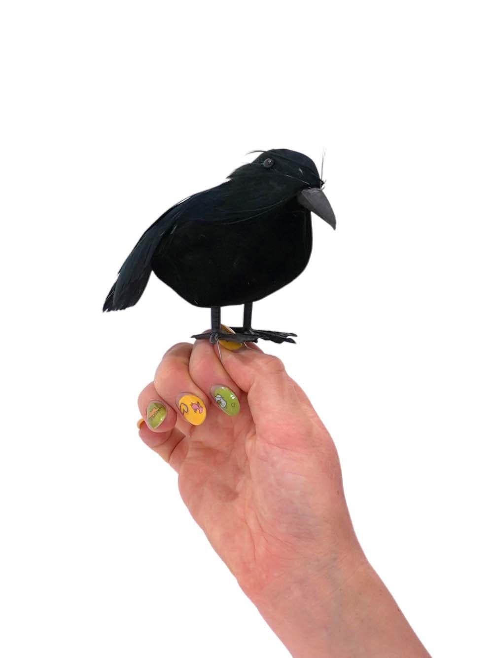 FIL170 _Crow (Style and Size May Vary)_event_prop_hire_EPH_Creative_332 copy _optimised