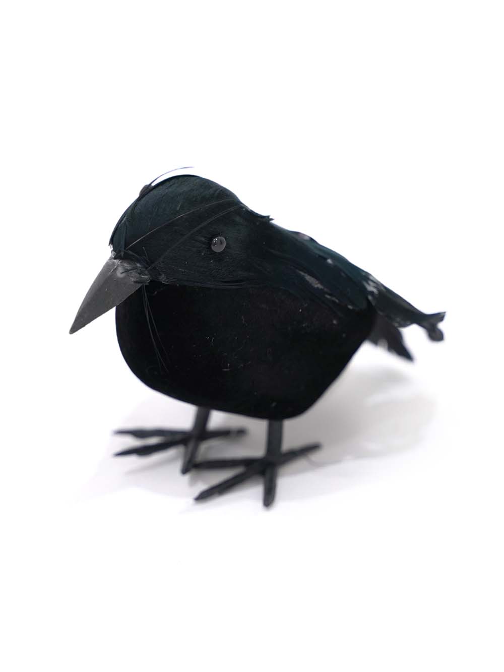 FIL170 _Crow (Style and Size May Vary)_event_prop_hire_EPH_Creative_342 copy _optimised