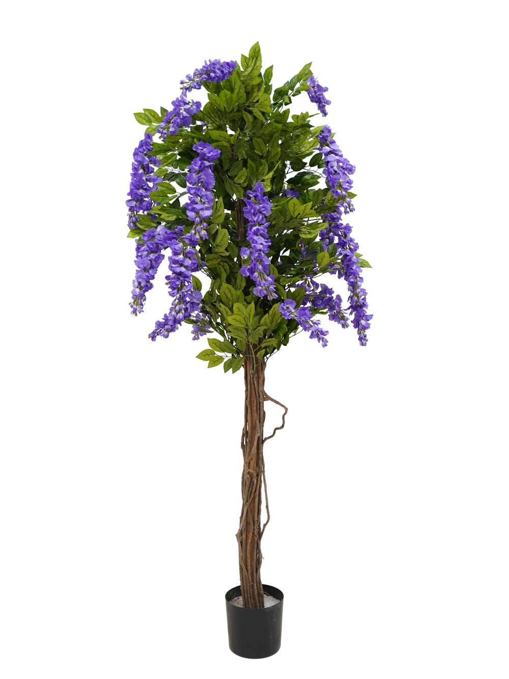 SCN164_Wisteria Tree - Purple - Large_event_prop_hire_EPH_Creative (1) copy _optimised