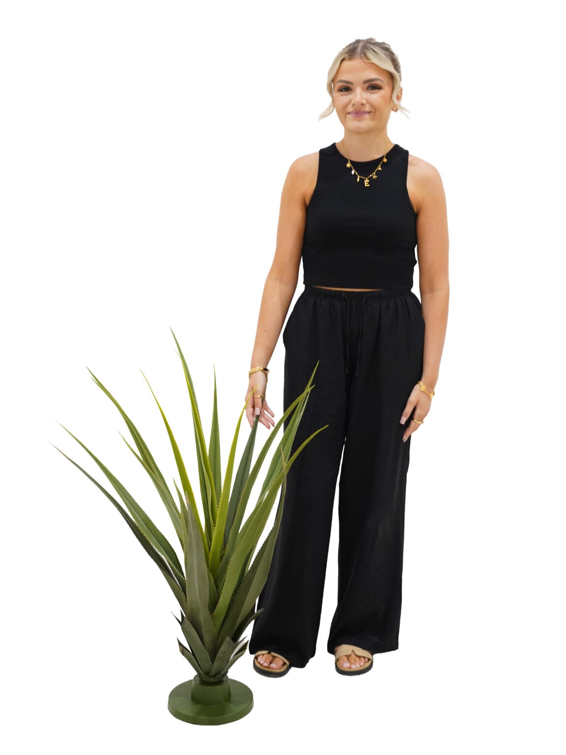 SCN44_Pandanus Cactus Plant - Small_event_prop_hire_EPH_Creative (3) copy