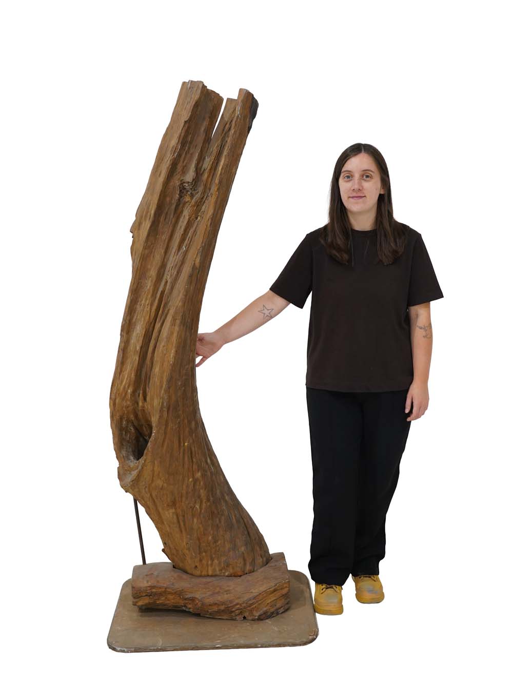 SCN94_Tall Driftwood Pieces_event_prop_hire_EPH_Creative (5) copy _optimised