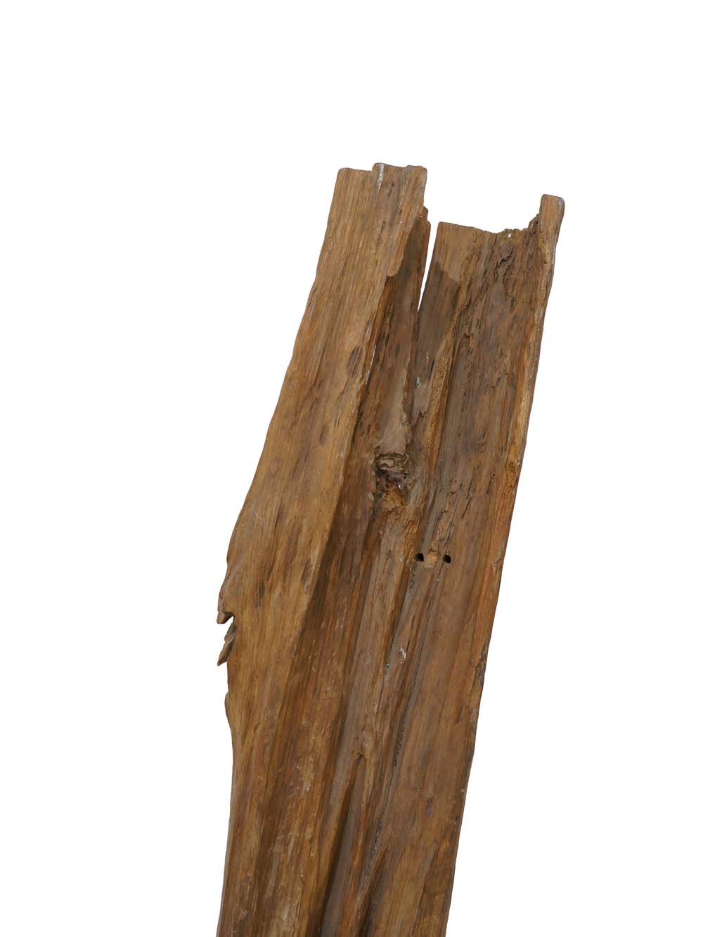 SCN94_Tall Driftwood Pieces_event_prop_hire_EPH_Creative (7) copy _optimised