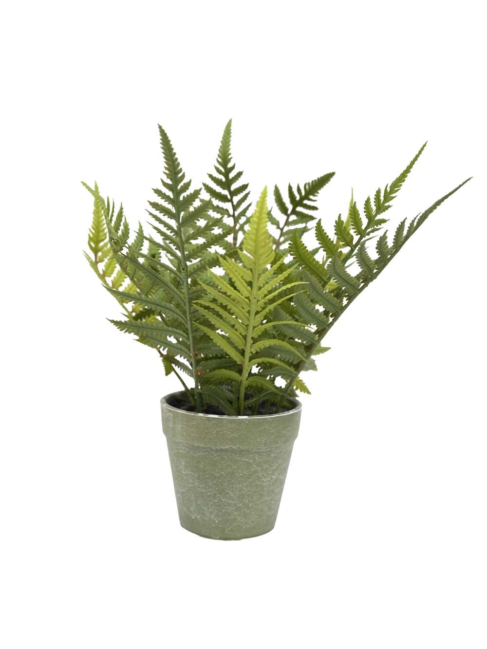 SN1165_Replica Potted Fern_event_prop_hire_EPH_Creative (14) copy _optimised