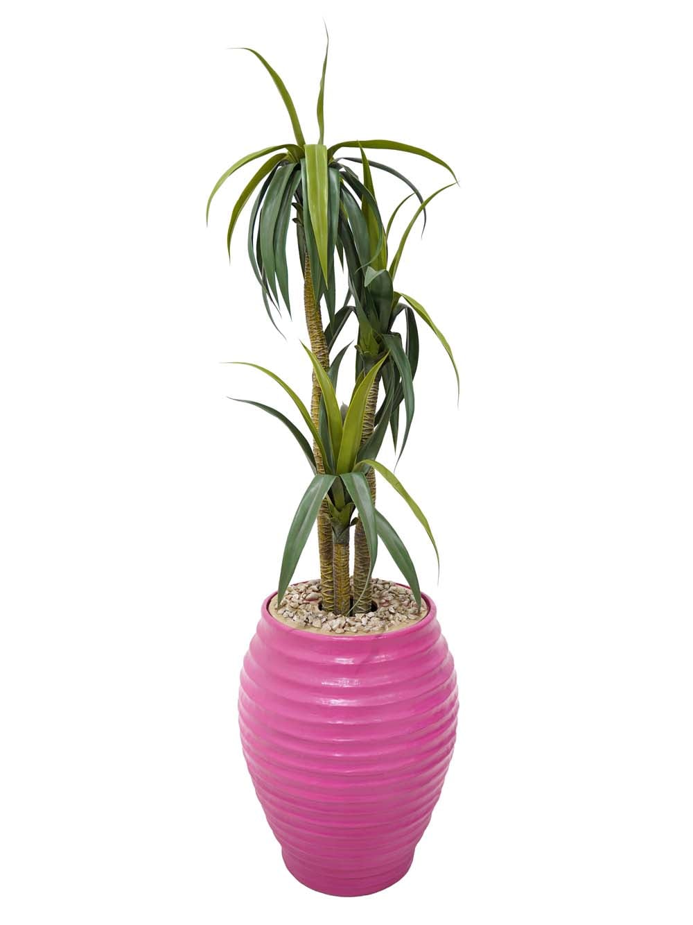 SN1870_Giant Colourful Potted Plant - Pink - OPTIONAL ACCESSORY - PICK A PLANT_event_prop_hire_EPH_Creative (30) copy _optimised