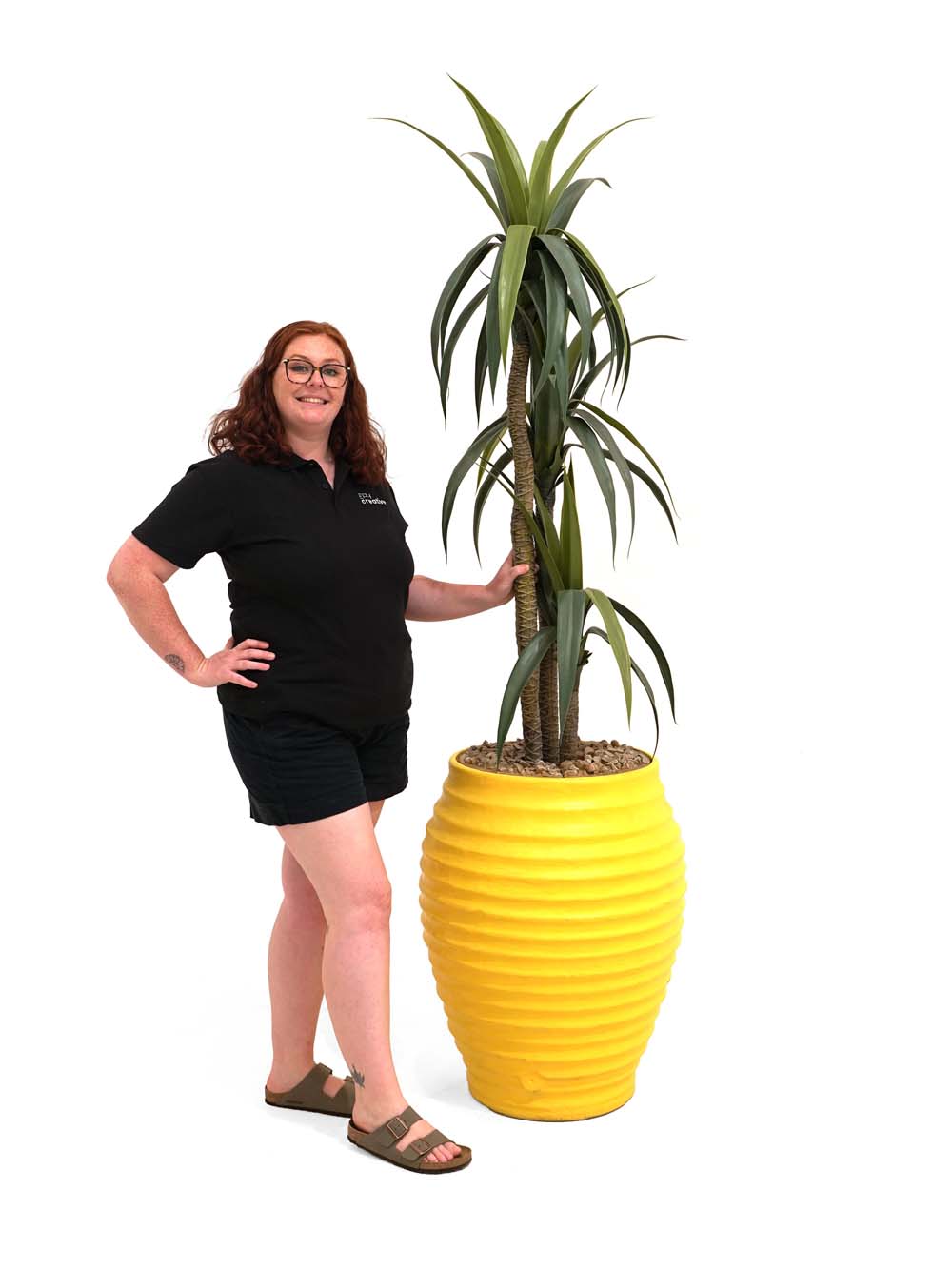 SN1873 _Giant Colourful Potted Plant - Yellow_event_prop_hire_EPH_Creative_45 copy _optimised