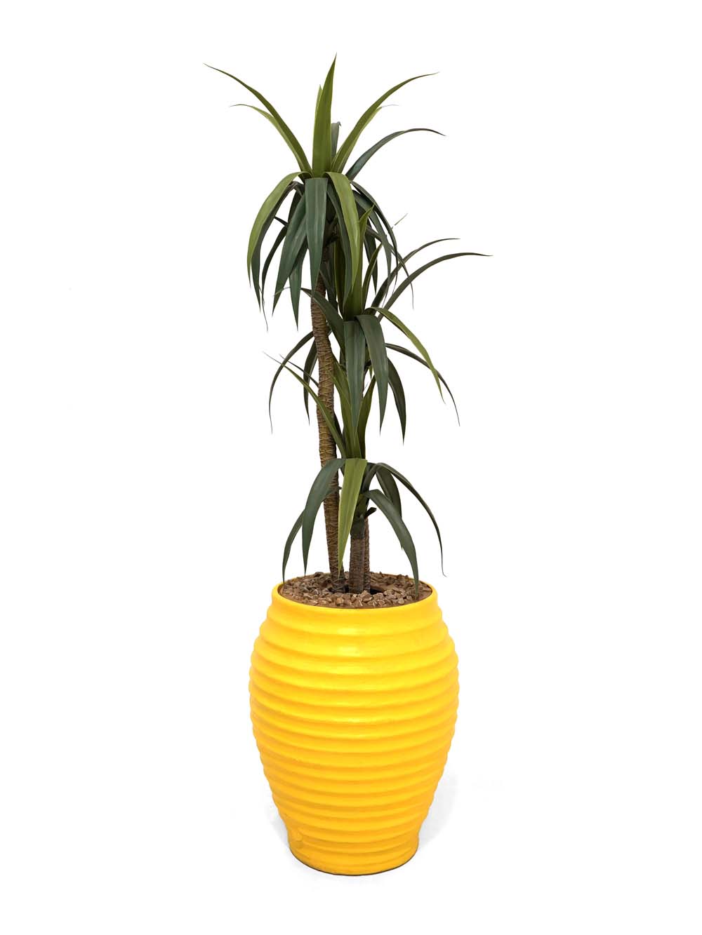 SN1873 _Giant Colourful Potted Plant - Yellow_event_prop_hire_EPH_Creative_48 copy _optimised