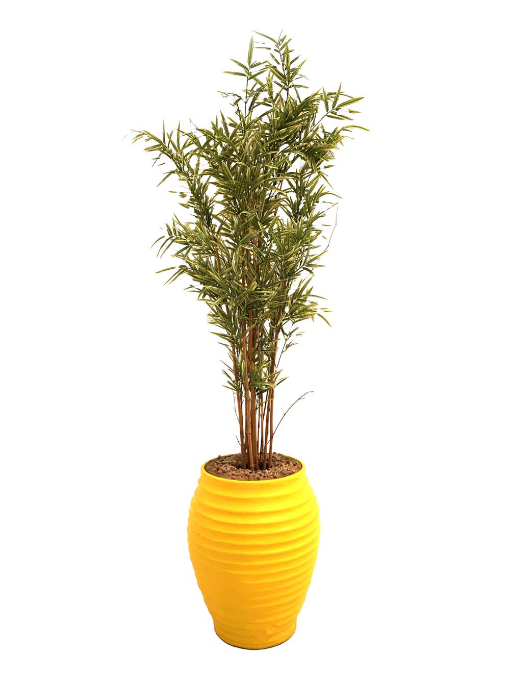 SN1873 _Giant Colourful Potted Plant - Yellow_event_prop_hire_EPH_Creative_84 copy _optimised