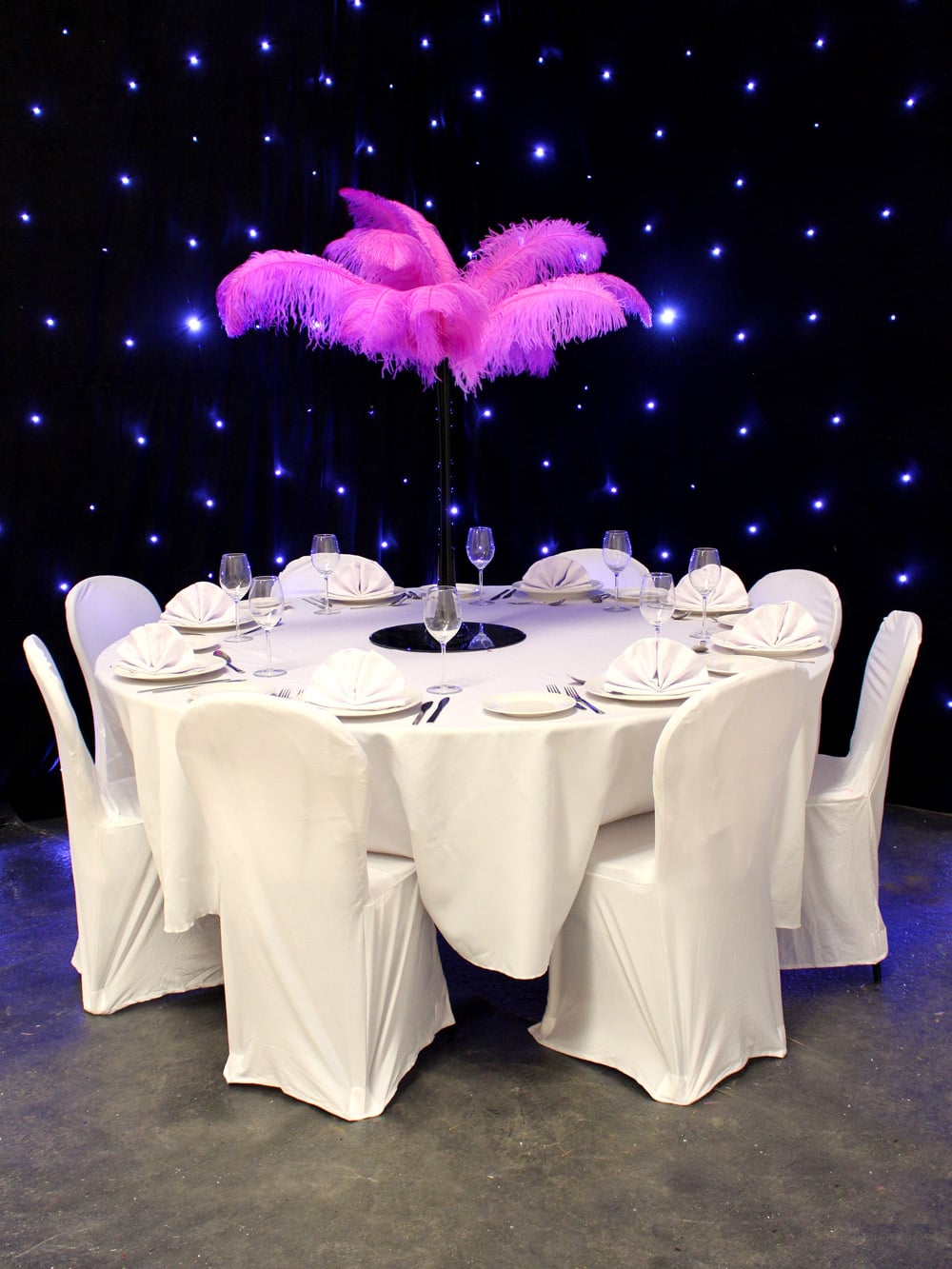 SN2888_Purple_Feather_Display_in_Black_Lily_Vase_event_prop_hire_0003IMG_5571_copy