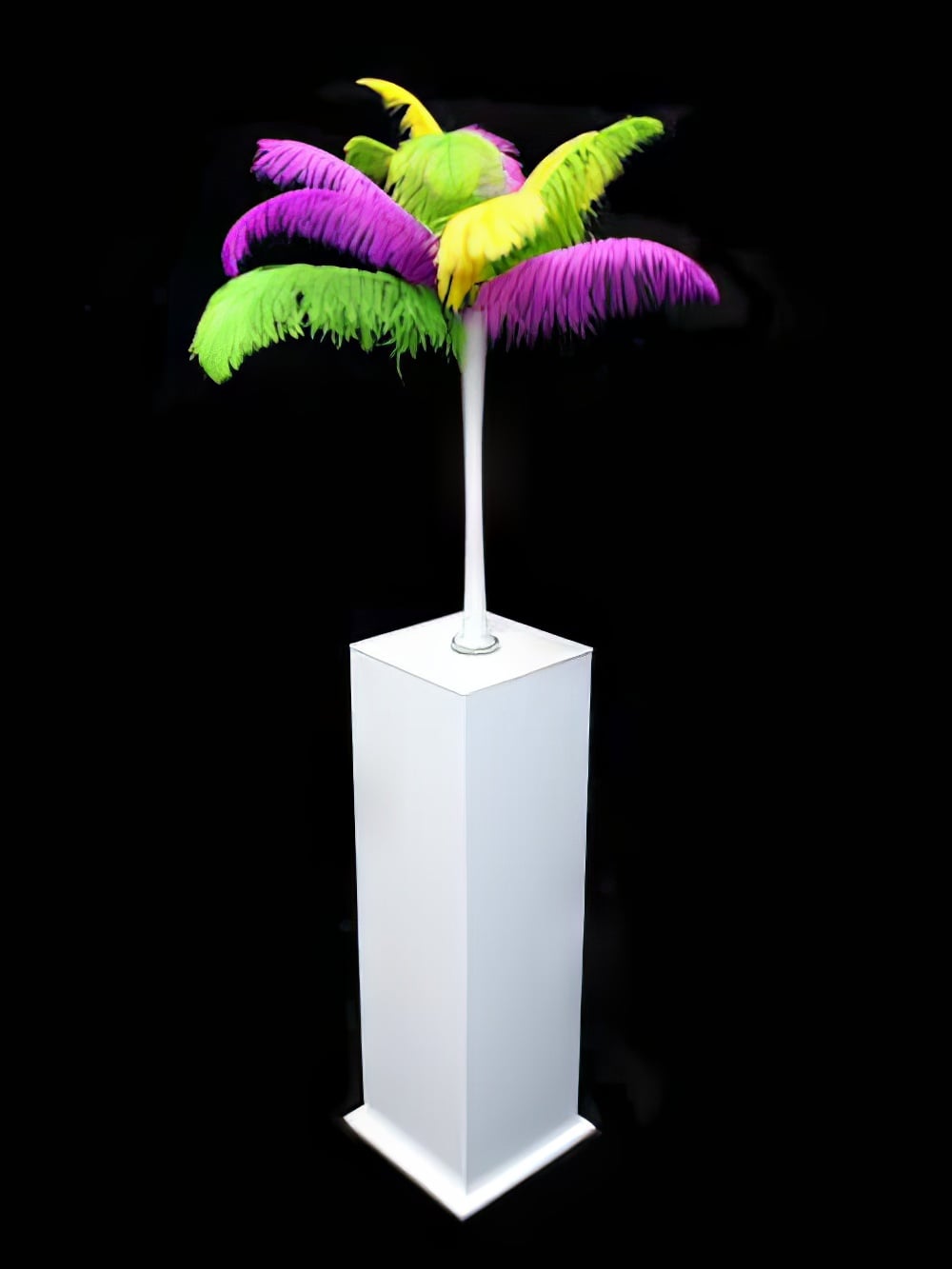 SN2894_Carnival_Green_Yellowand_amp_Purple_feather_display_in_white_lily_vase_event_prop_hire_0005_CArnival_-_Green_Yellowand_amp_Purple_event_prop_hire_0102IMG_5558_copy