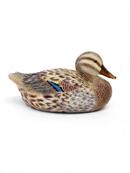Mallard Duck – Female