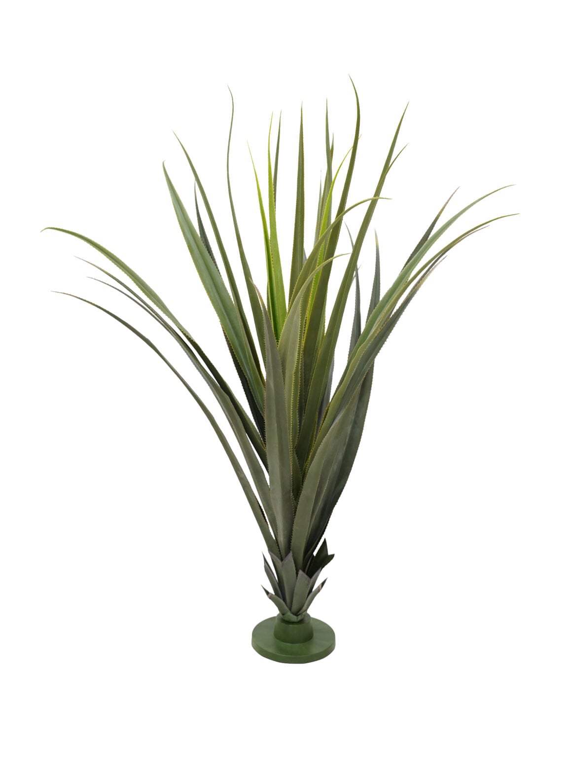 SN3456_Pandanus Cactus Plant - Medium_event_prop_hire_EPH_Creative (1) copy