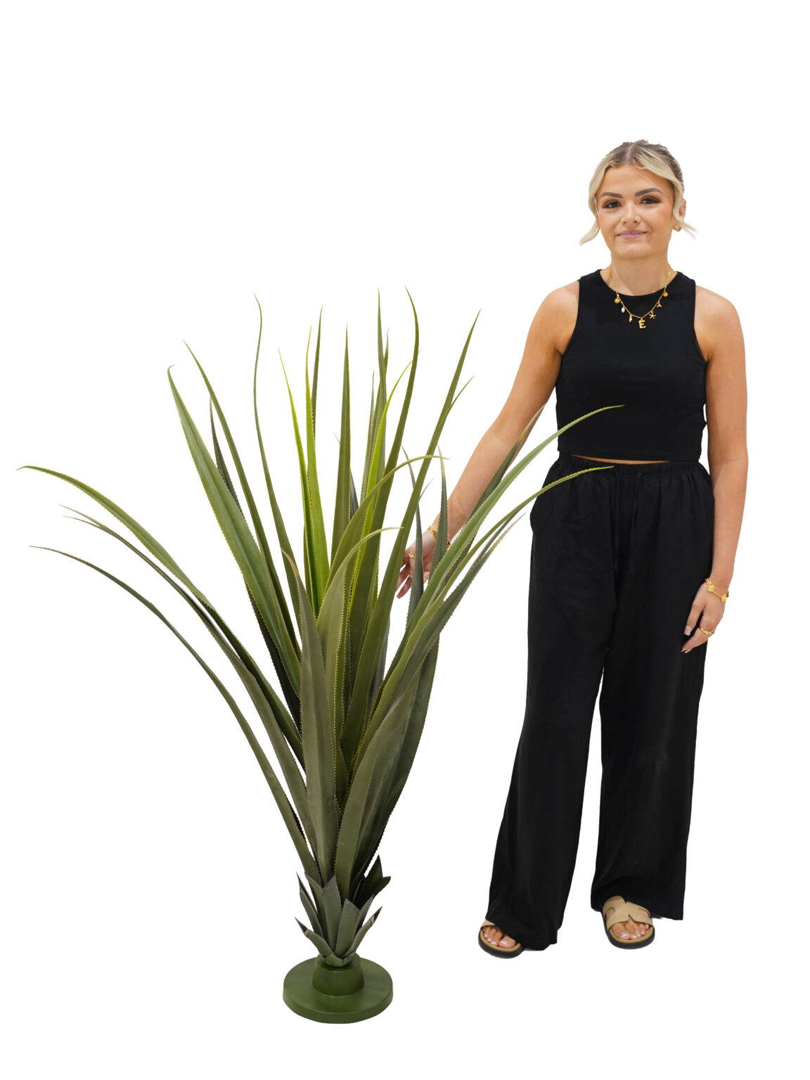 SN3456_Pandanus Cactus Plant - Medium_event_prop_hire_EPH_Creative (4) copy