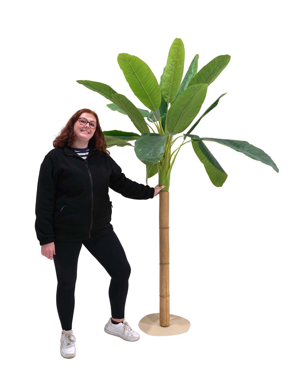 SN4453 _Medium Banana Palm Tree (2.4m) #2_event_prop_hire_EPH_Creative_013 copy _optimised