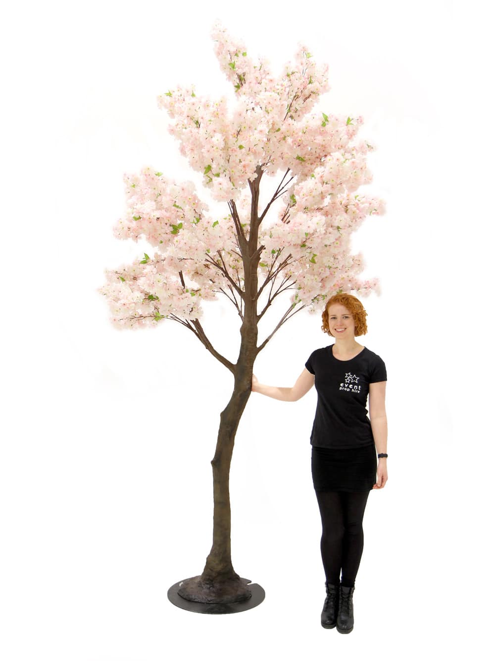 Pink Cherry Blossom Tree (3.5m)