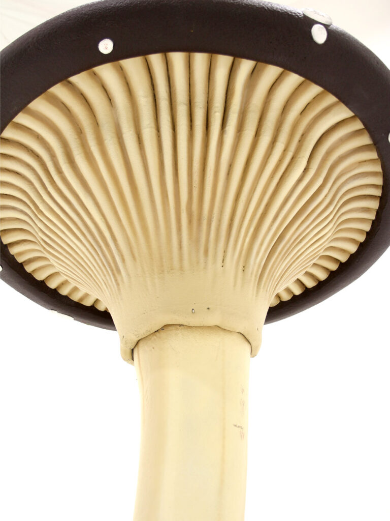 Giant Flat Cap Mushroom Cluster Red EPH Creative Event Prop Hire