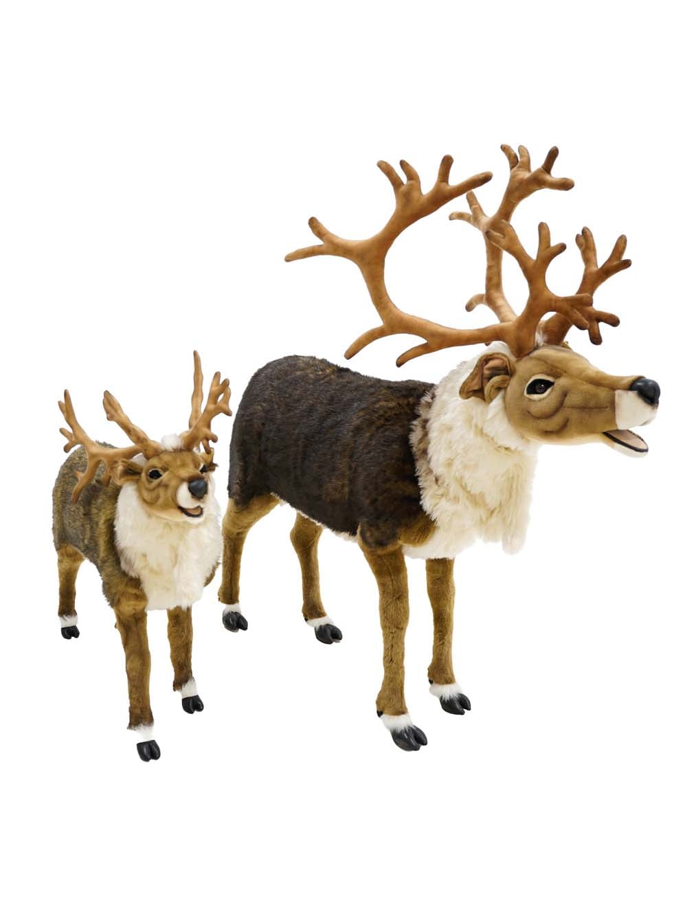 SN6790_Animatronic Furry Reindeer Prop_event_prop_hire_EPH_Creative (1) copy _optimised