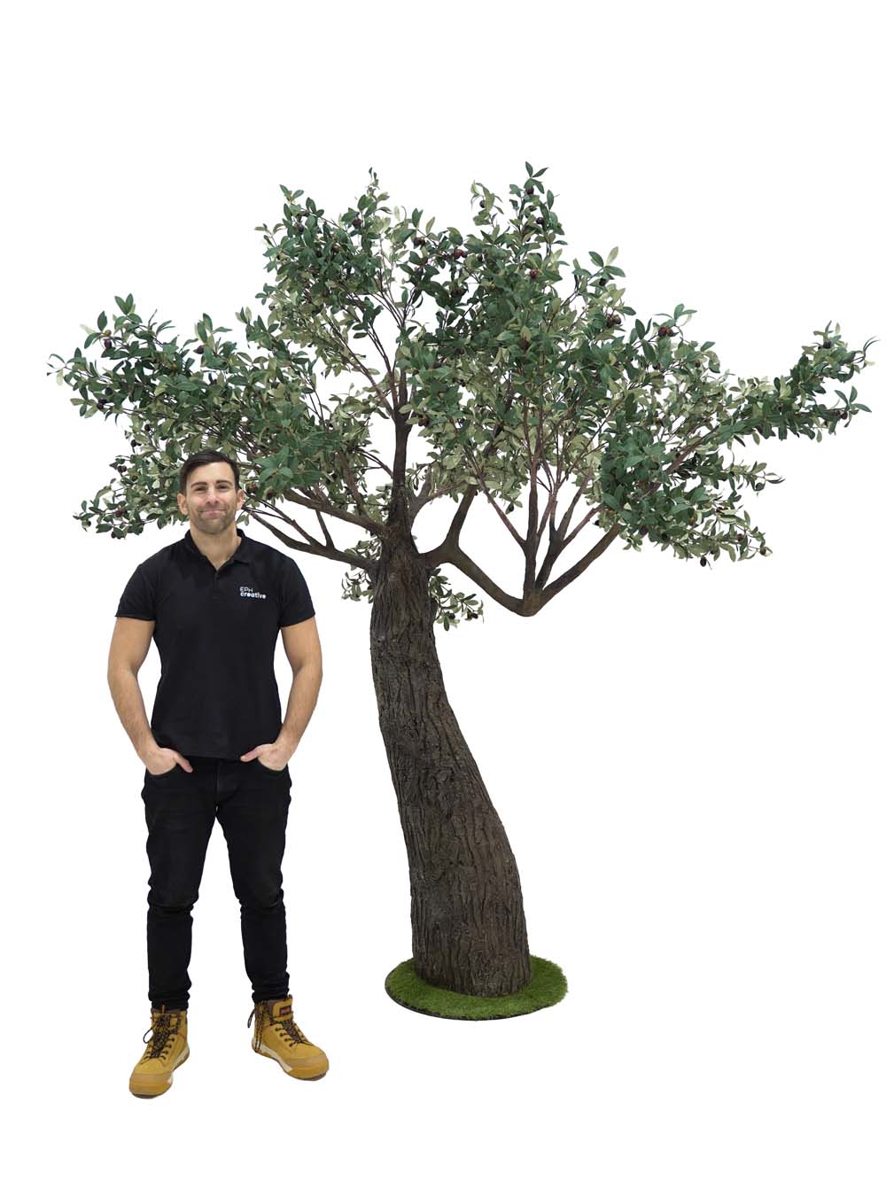 SN6841_Thick Trunk Tree (2.9m) - Olive_event_prop_hire_EPH_Creative (12) copy _optimised