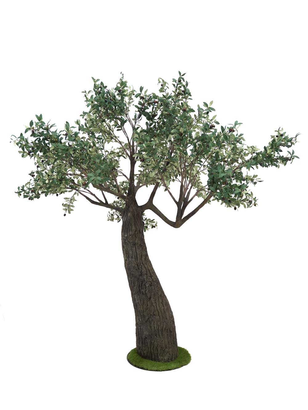 SN6841_Thick Trunk Tree (2.9m) - Olive_event_prop_hire_EPH_Creative (6) copy _optimised