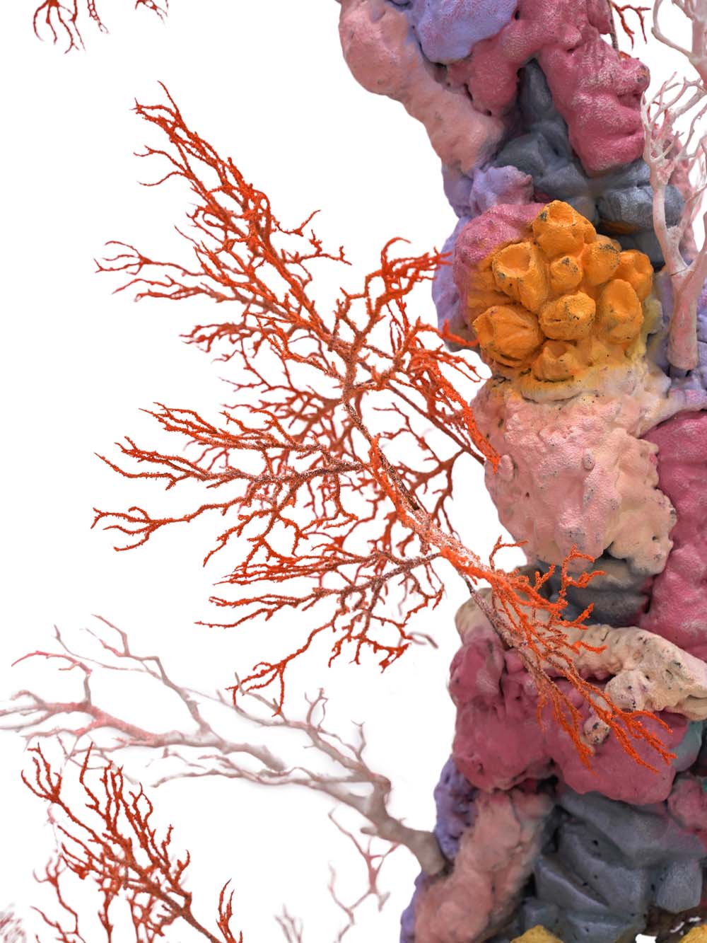 SN7825 _Coral Moon Gate_event_prop_hire_EPH_Creative_016 copy _high_res _optimised