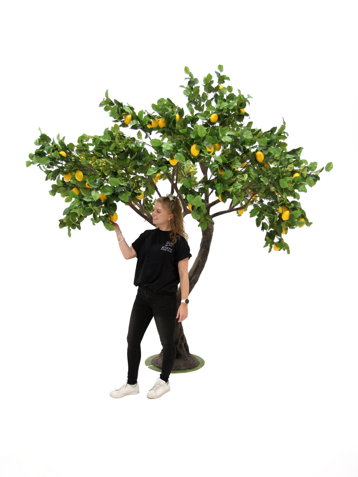 SN8447 Lemon Twisted Trunk Tree (2.9m)_eph_creative_event_prop_hire_0190 copy