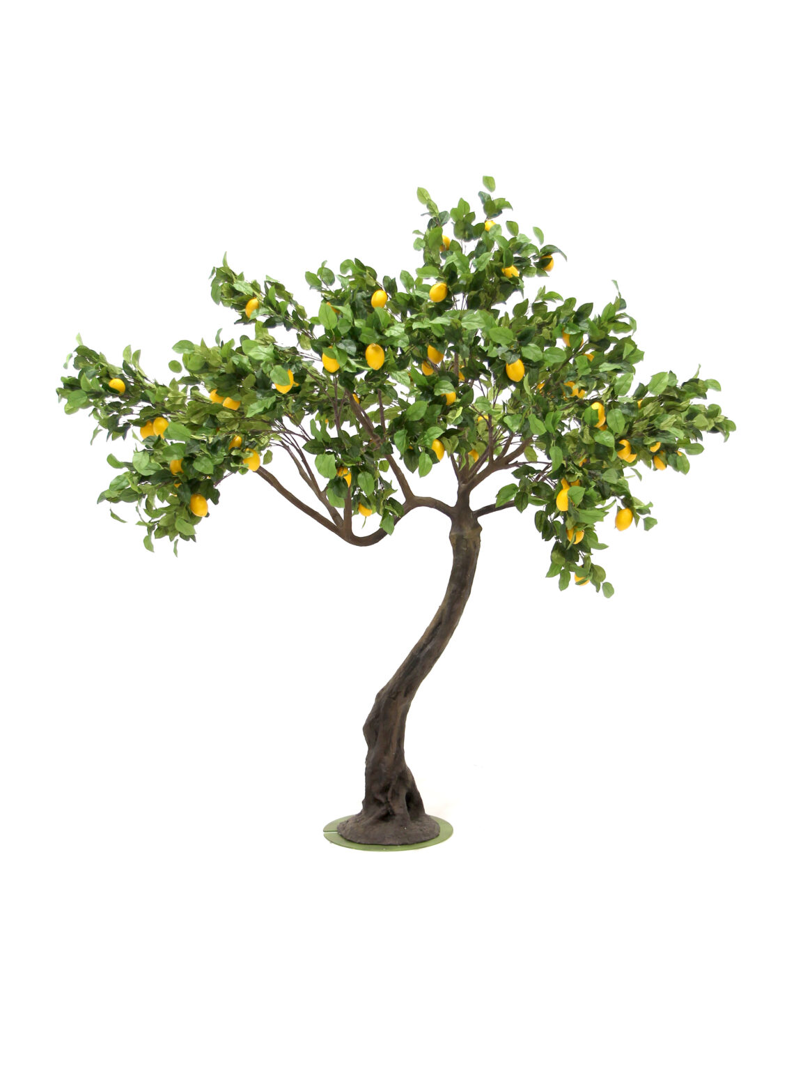SN8447 Lemon Twisted Trunk Tree (2.9m)_eph_creative_event_prop_hire_0192 copy