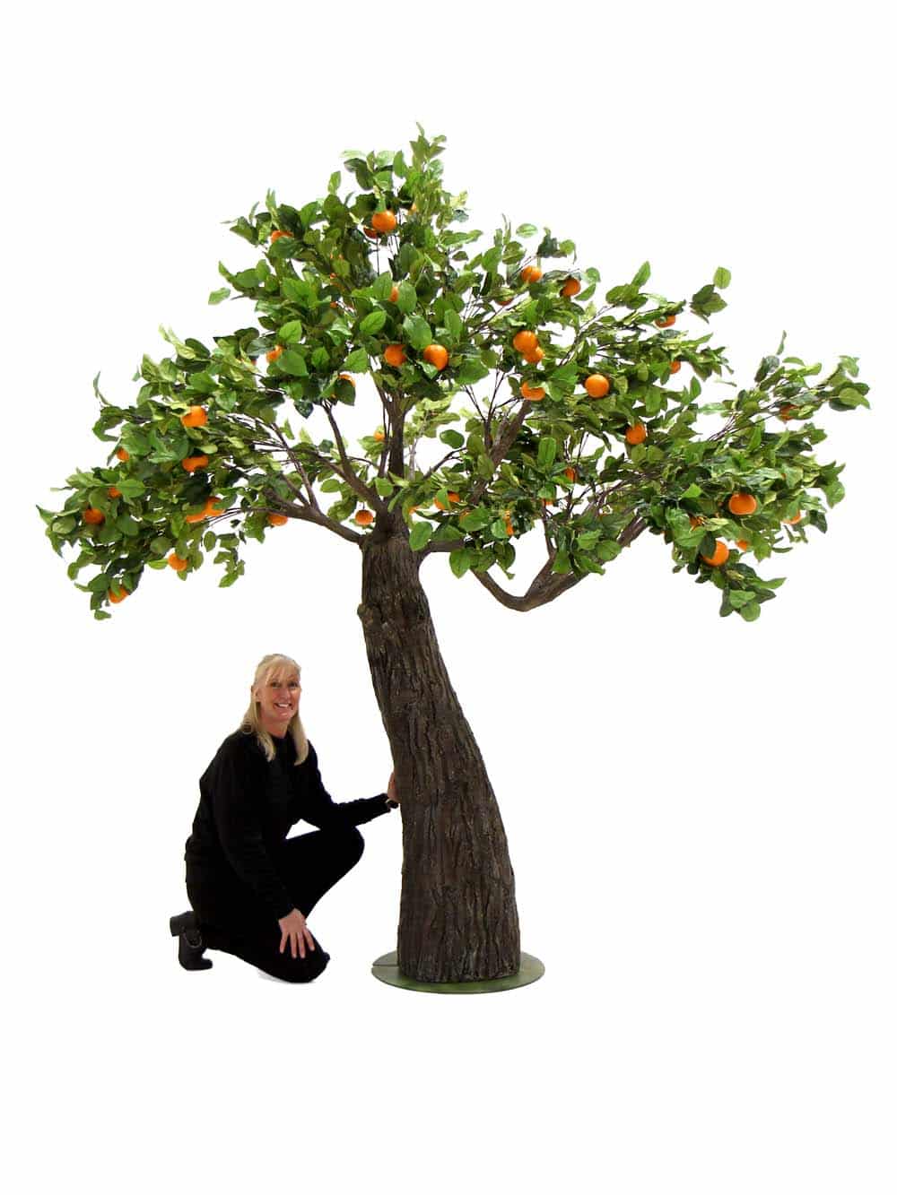 SN8462_Orange Tree - Thick Trunk (2.9m)_event_prop_hire_EPH_Creative_105_optimised