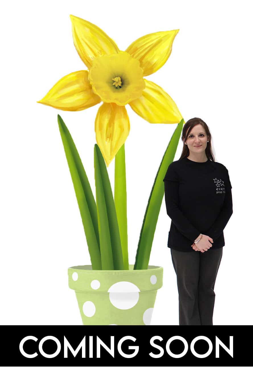 Giant Daffodil in Pot (single)