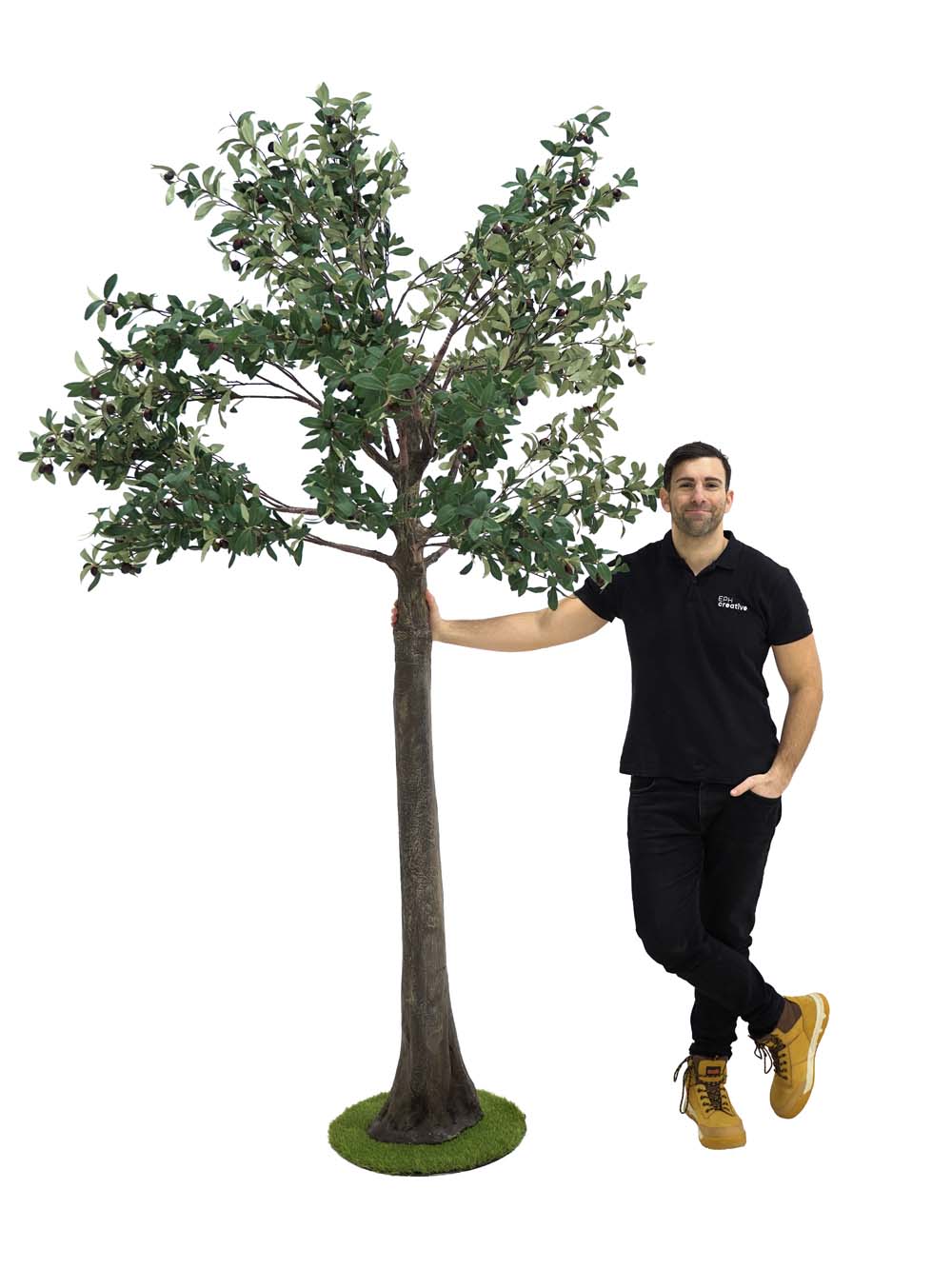SN9280_Medium Trunk Tree (2.7m) - Olive_event_prop_hire_EPH_Creative (7) copy _optimised