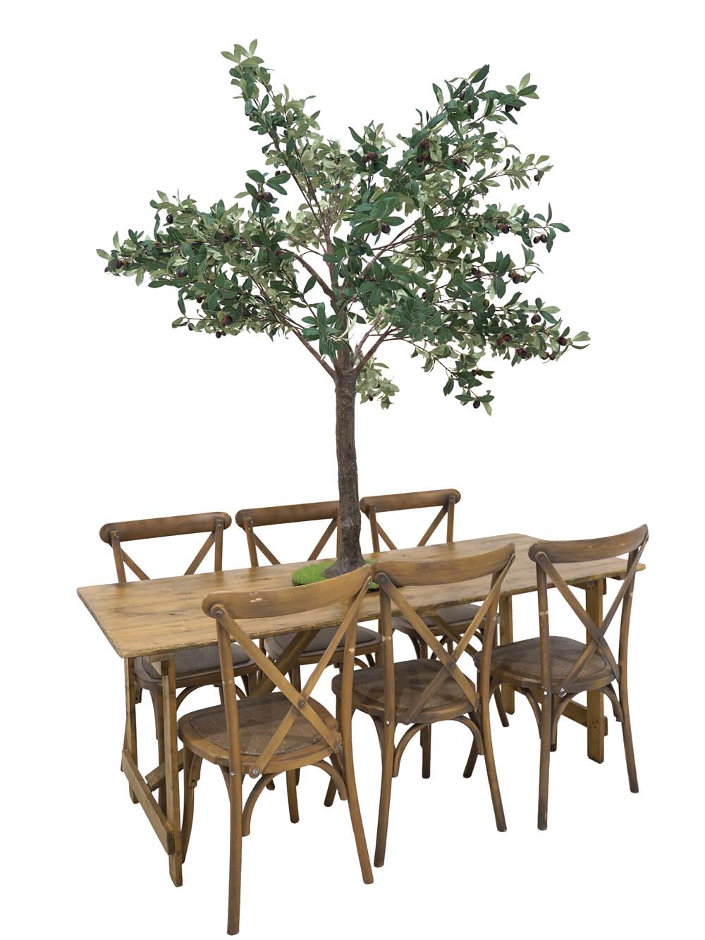 SN10119_Table Top Tree (1.8m) - Olive_event_prop_hire_EPH_Creative (2) copy _optimised
