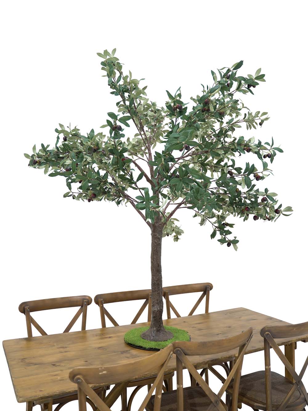 SN10119_Table Top Tree (1.8m) - Olive_event_prop_hire_EPH_Creative (3) copy _optimised