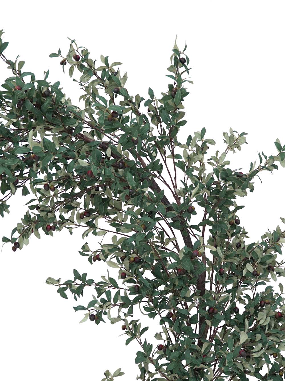 SN10173_Moon Gate - Olive_event_prop_hire_EPH_Creative (11) copy _optimised