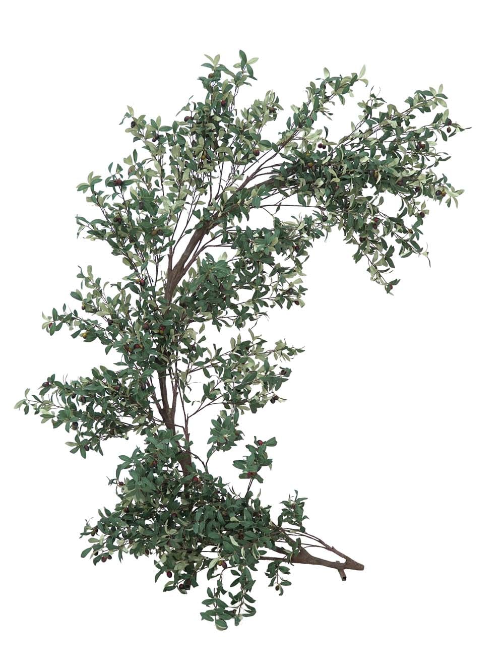 SN10339_Half Moon Gate - Olive_event_prop_hire_EPH_Creative (8) copy _optimised