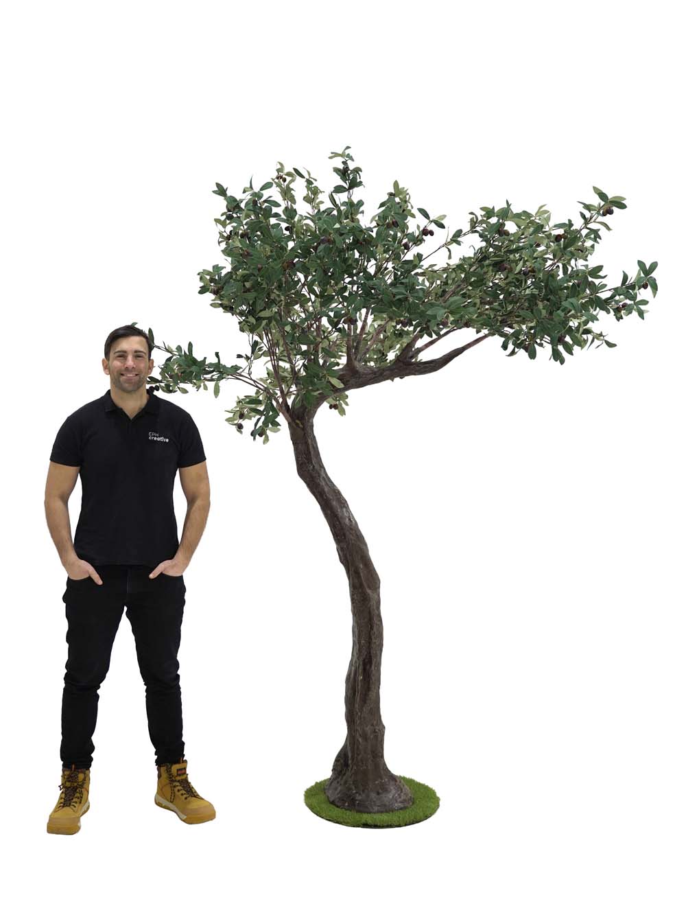 SN10125_Short Canopy Tree (2.2m) - Olive_event_prop_hire_EPH_Creative (2) copy _optimised