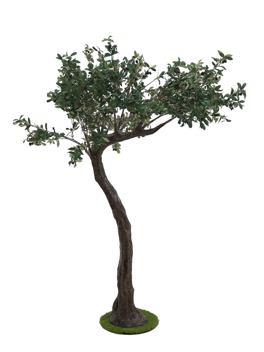 SN10125_Short Canopy Tree (2.2m) - Olive_event_prop_hire_EPH_Creative (4) copy _optimised