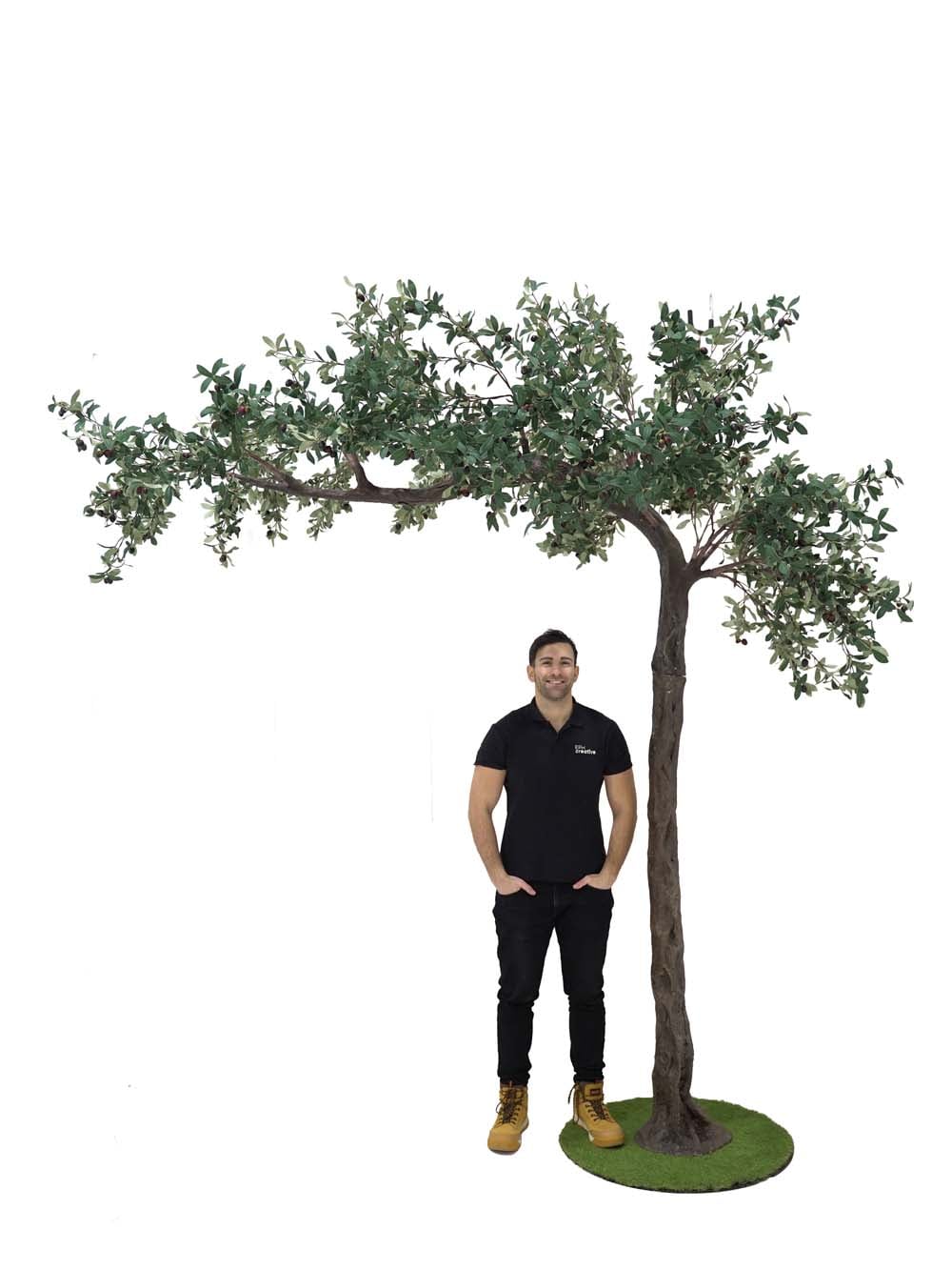 SN10131_Canopy Tree (3m) - Olive_event_prop_hire_EPH_Creative (12) copy _optimised