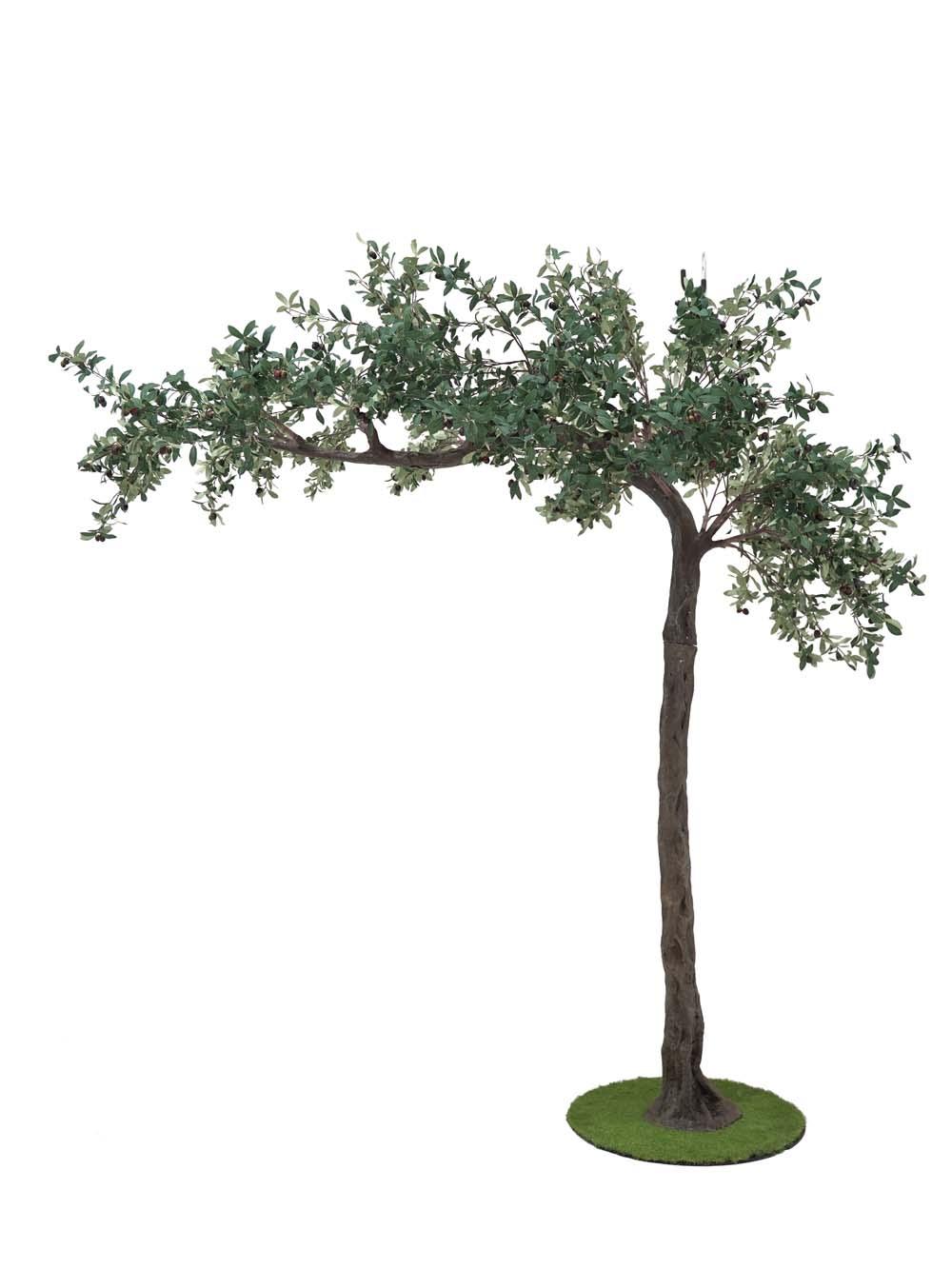 SN10131_Canopy Tree (3m) - Olive_event_prop_hire_EPH_Creative (4) copy 2 _optimised
