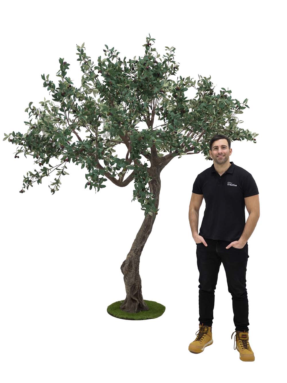 SN10142_Twisted Trunk Tree (2.9m) - Olive_event_prop_hire_EPH_Creative (7) copy _optimised