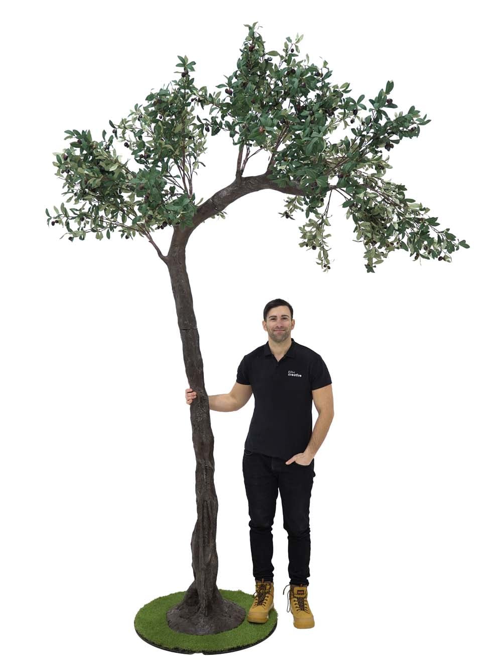SN10147_Half Arch Tree (3.5m) - Olive_event_prop_hire_EPH_Creative (12) copy _optimised
