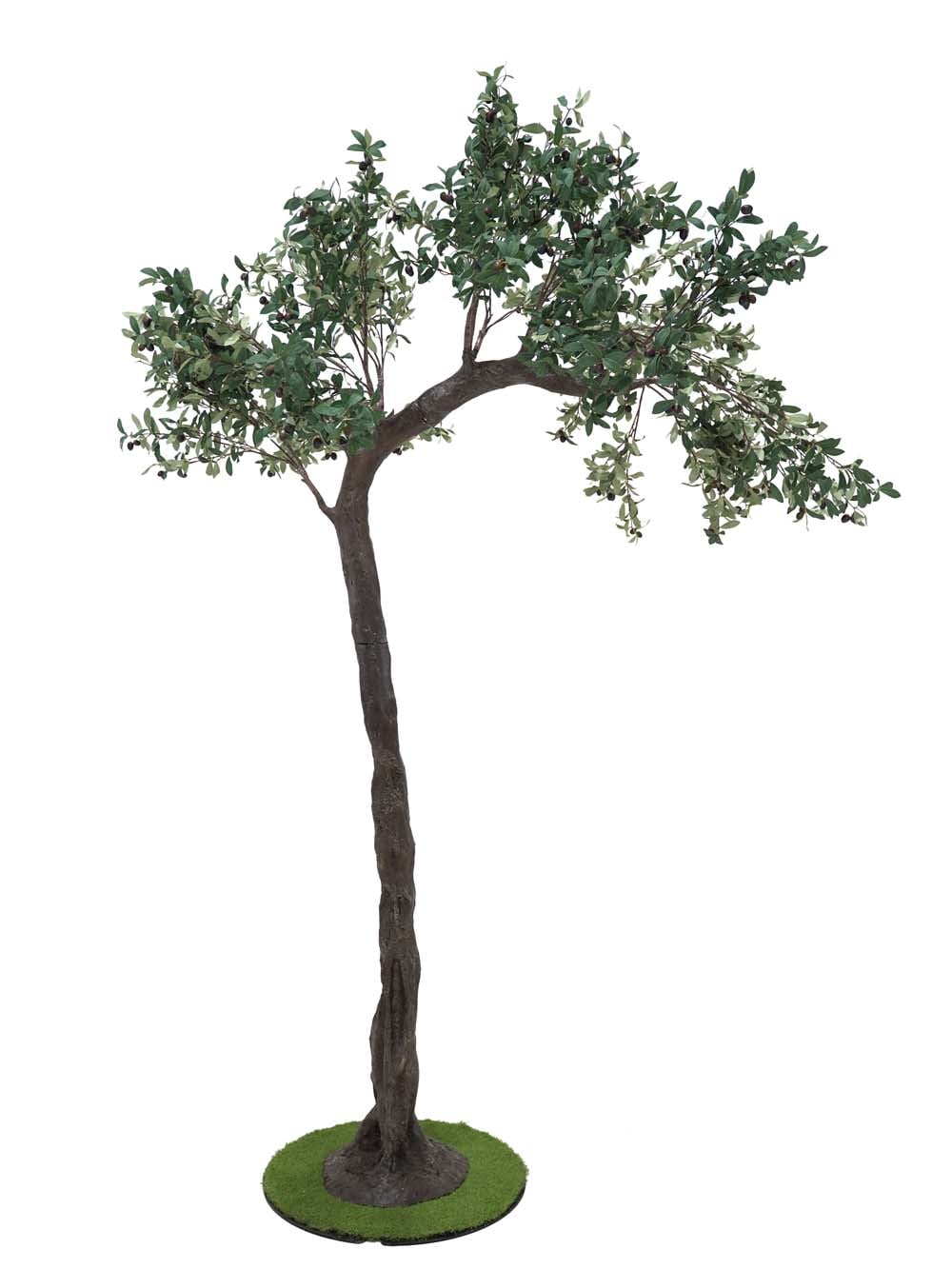 SN10147_Half Arch Tree (3.5m) - Olive_event_prop_hire_EPH_Creative (3) copy _optimised