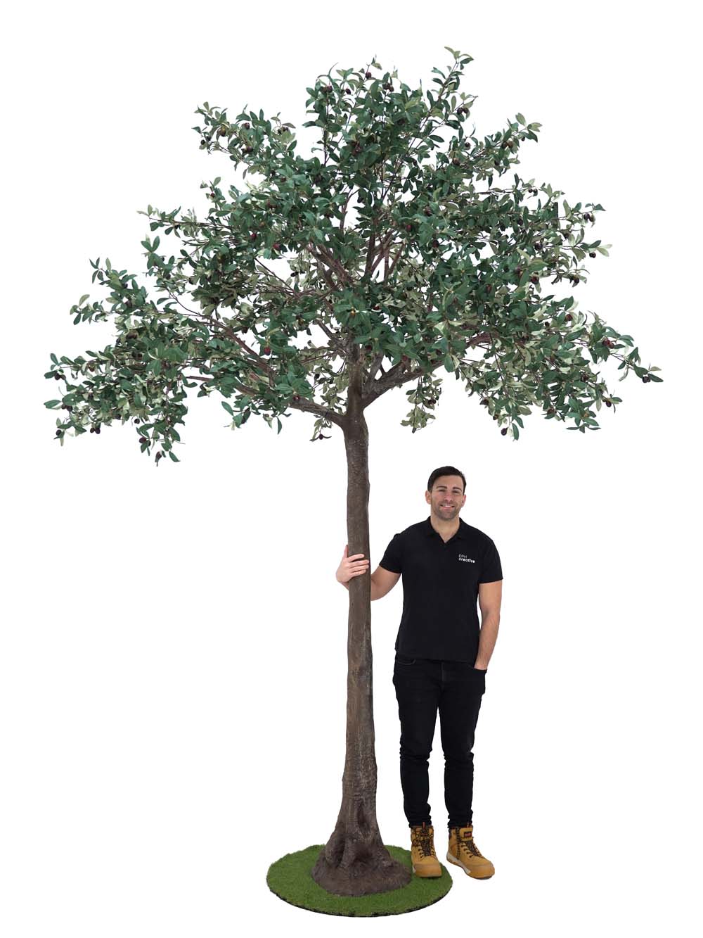 SN10153_Extra Tall Trunk Tree (3.8m) - Olive_event_prop_hire_EPH_Creative (1) copy _optimised