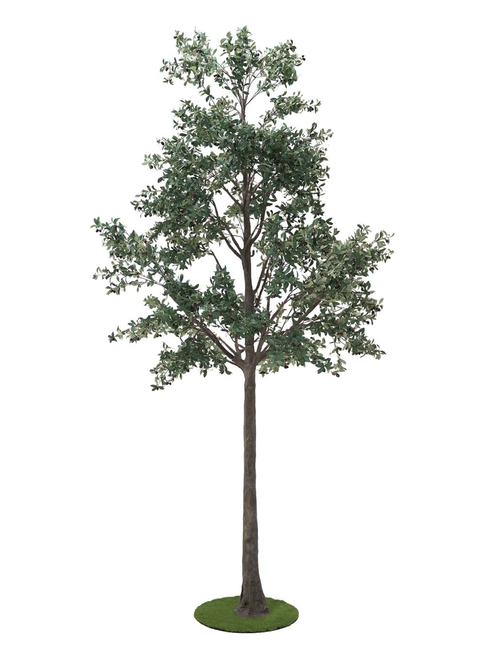 SN10159_Giant Tree (5m) - Olive_event_prop_hire_EPH_Creative (1) copy _optimised